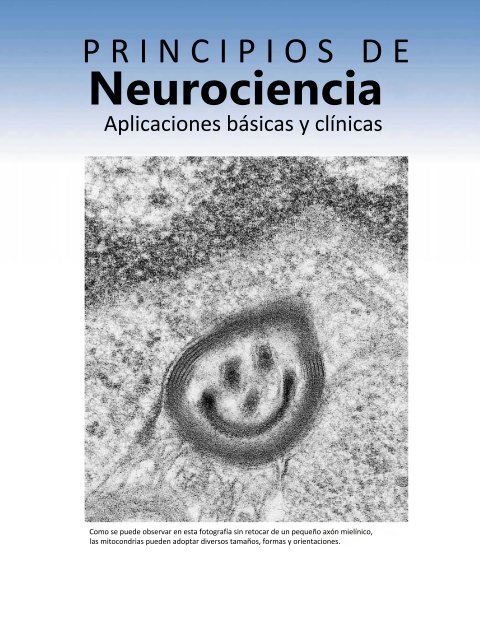 Principios de Neurociencia Haines 4a Ed_booksmedicos.org