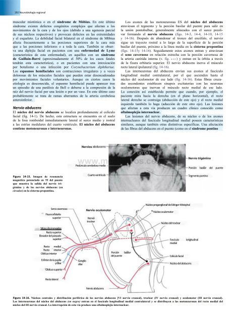 Principios de Neurociencia Haines 4a Ed_booksmedicos.org