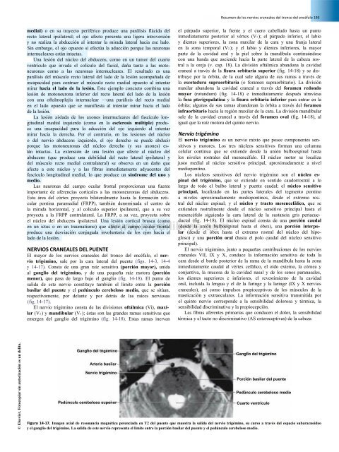 Principios de Neurociencia Haines 4a Ed_booksmedicos.org