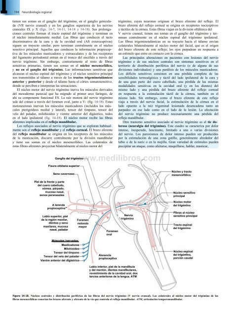 Principios de Neurociencia Haines 4a Ed_booksmedicos.org