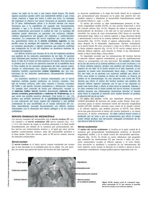 Principios de Neurociencia Haines 4a Ed_booksmedicos.org