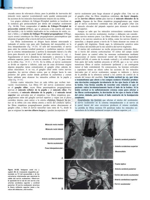 Principios de Neurociencia Haines 4a Ed_booksmedicos.org