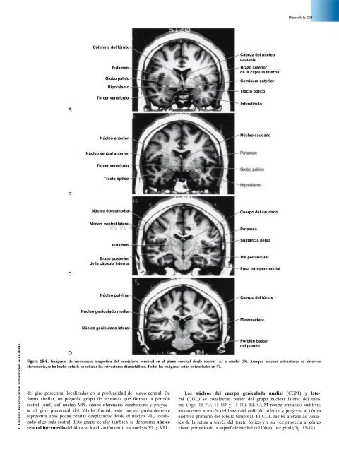 Principios de Neurociencia Haines 4a Ed_booksmedicos.org