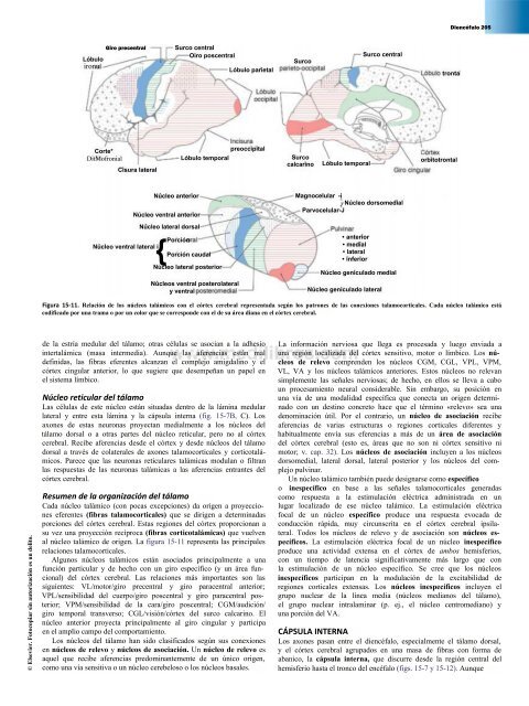 Principios de Neurociencia Haines 4a Ed_booksmedicos.org