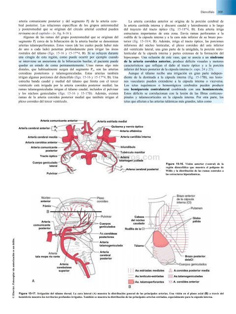 Principios de Neurociencia Haines 4a Ed_booksmedicos.org