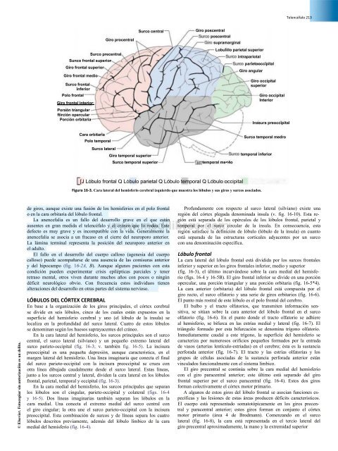 Principios de Neurociencia Haines 4a Ed_booksmedicos.org