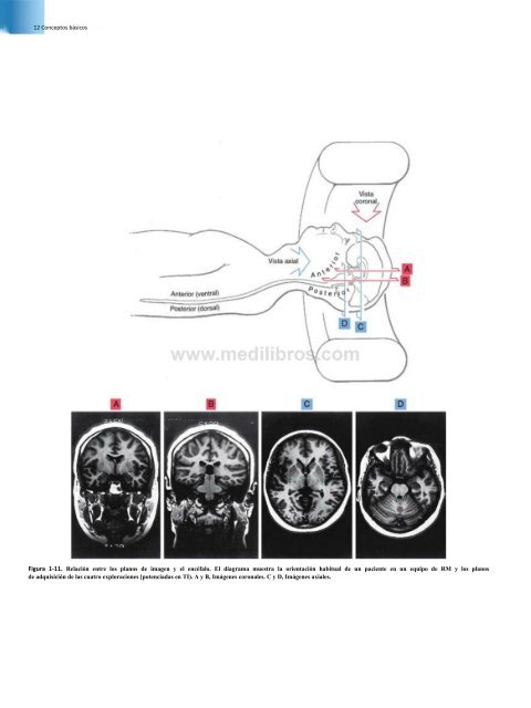 Principios de Neurociencia Haines 4a Ed_booksmedicos.org