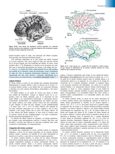 Principios de Neurociencia Haines 4a Ed_booksmedicos.org