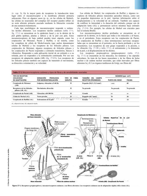 Principios de Neurociencia Haines 4a Ed_booksmedicos.org