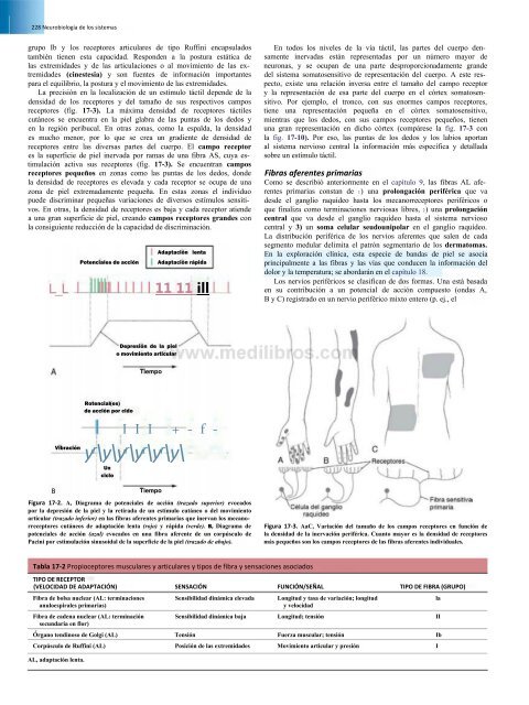 Principios de Neurociencia Haines 4a Ed_booksmedicos.org