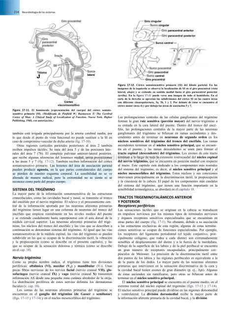 Principios de Neurociencia Haines 4a Ed_booksmedicos.org