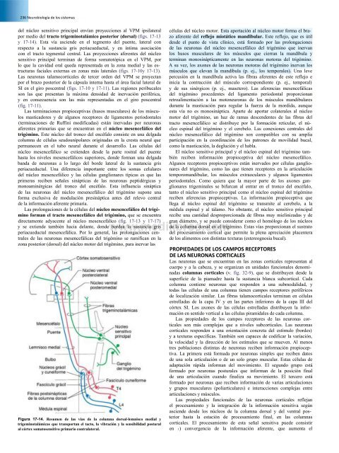 Principios de Neurociencia Haines 4a Ed_booksmedicos.org