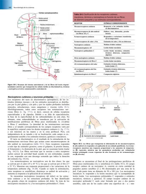 Principios de Neurociencia Haines 4a Ed_booksmedicos.org