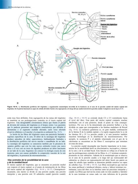 Principios de Neurociencia Haines 4a Ed_booksmedicos.org