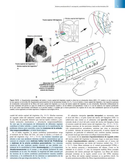 Principios de Neurociencia Haines 4a Ed_booksmedicos.org