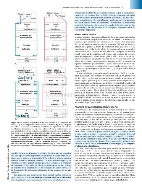 Principios de Neurociencia Haines 4a Ed_booksmedicos.org