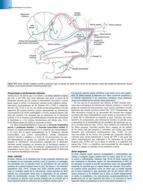 Principios de Neurociencia Haines 4a Ed_booksmedicos.org