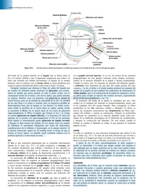 Principios de Neurociencia Haines 4a Ed_booksmedicos.org