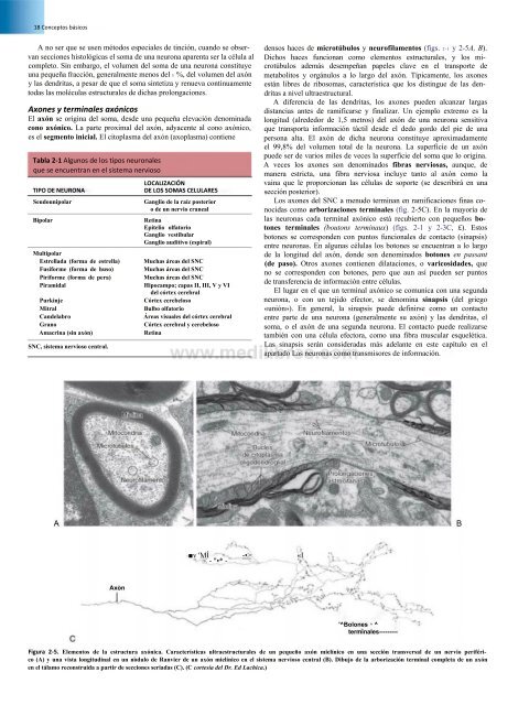 Principios de Neurociencia Haines 4a Ed_booksmedicos.org