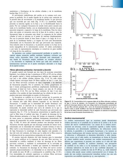 Principios de Neurociencia Haines 4a Ed_booksmedicos.org