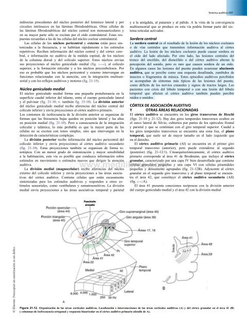 Principios de Neurociencia Haines 4a Ed_booksmedicos.org