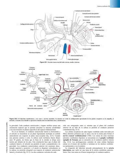 Principios de Neurociencia Haines 4a Ed_booksmedicos.org