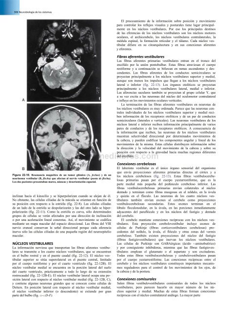 Principios de Neurociencia Haines 4a Ed_booksmedicos.org