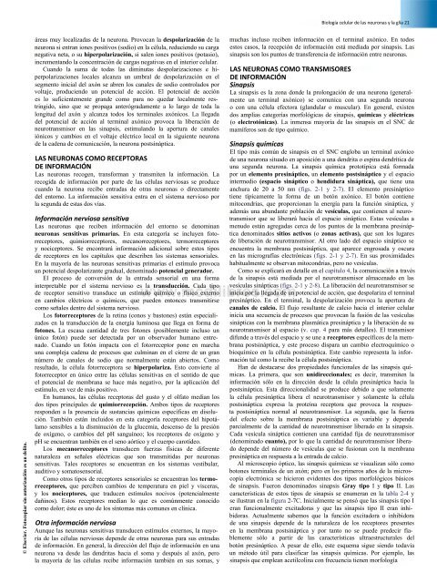 Principios de Neurociencia Haines 4a Ed_booksmedicos.org