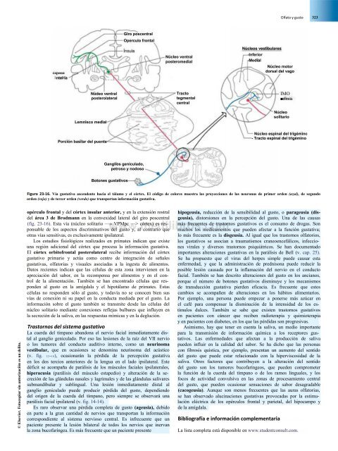 Principios de Neurociencia Haines 4a Ed_booksmedicos.org