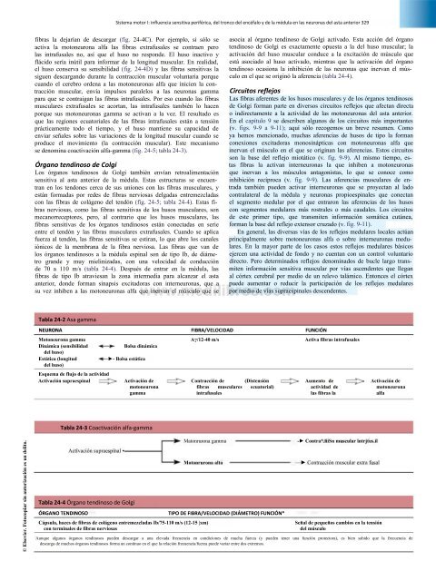 Principios de Neurociencia Haines 4a Ed_booksmedicos.org