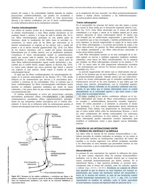 Principios de Neurociencia Haines 4a Ed_booksmedicos.org