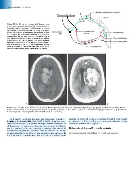 Principios de Neurociencia Haines 4a Ed_booksmedicos.org