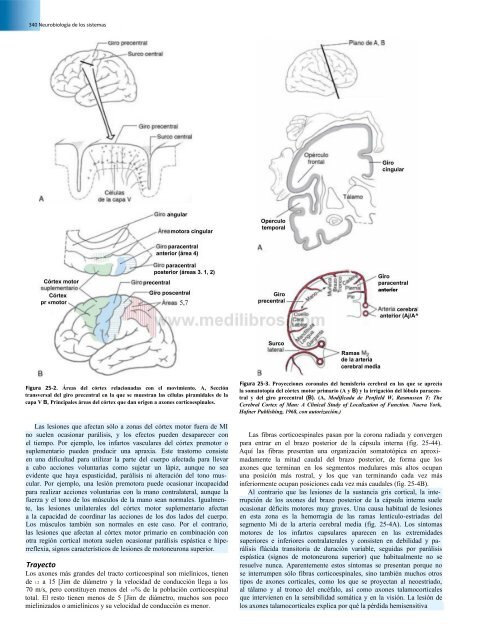 Principios de Neurociencia Haines 4a Ed_booksmedicos.org