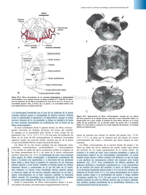 Principios de Neurociencia Haines 4a Ed_booksmedicos.org