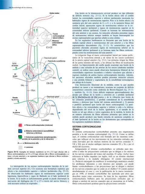 Principios de Neurociencia Haines 4a Ed_booksmedicos.org