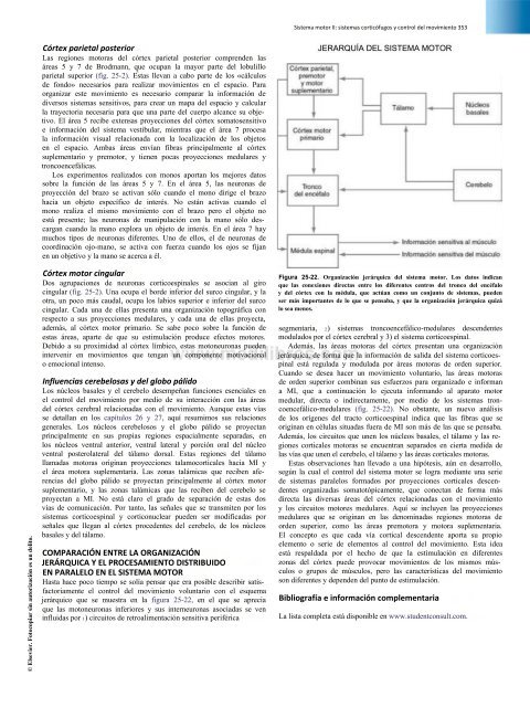 Principios de Neurociencia Haines 4a Ed_booksmedicos.org