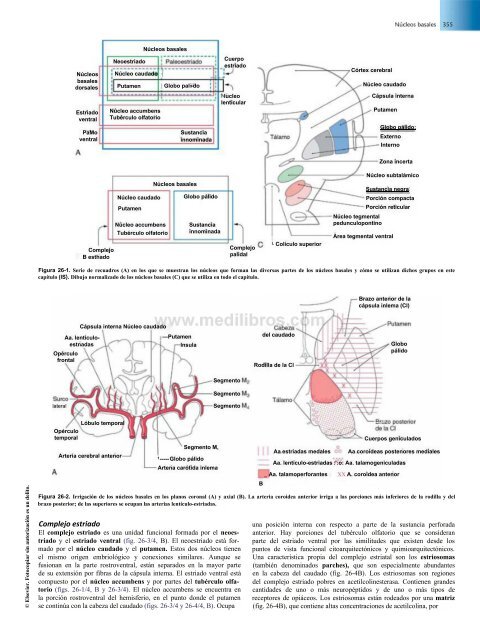 Principios de Neurociencia Haines 4a Ed_booksmedicos.org