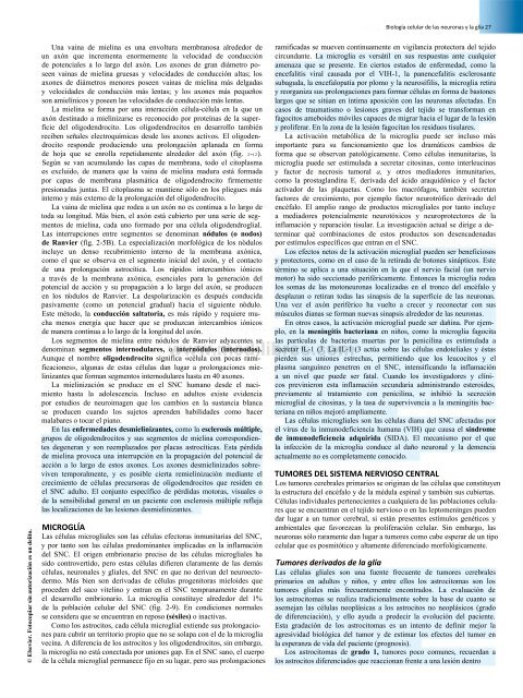 Principios de Neurociencia Haines 4a Ed_booksmedicos.org