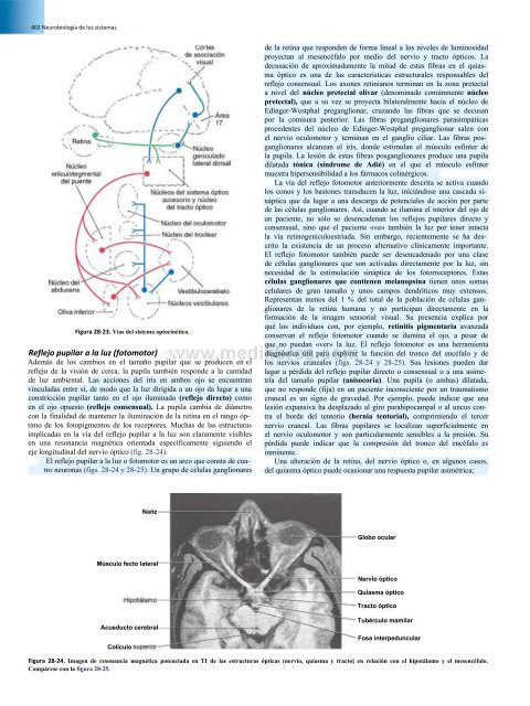 Principios de Neurociencia Haines 4a Ed_booksmedicos.org