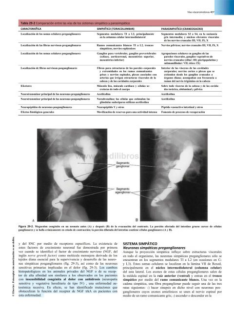 Principios de Neurociencia Haines 4a Ed_booksmedicos.org