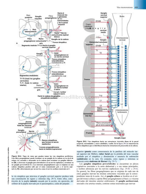 Principios de Neurociencia Haines 4a Ed_booksmedicos.org