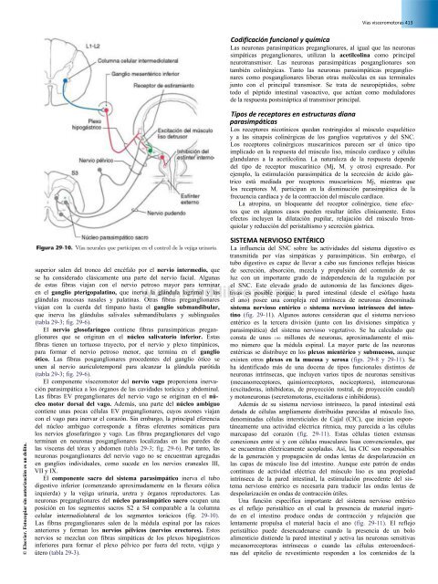 Principios de Neurociencia Haines 4a Ed_booksmedicos.org