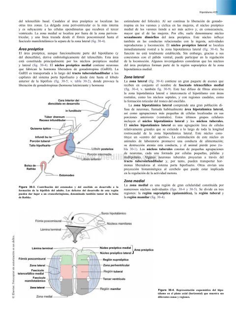 Principios de Neurociencia Haines 4a Ed_booksmedicos.org