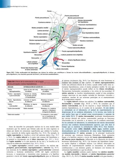 Principios de Neurociencia Haines 4a Ed_booksmedicos.org