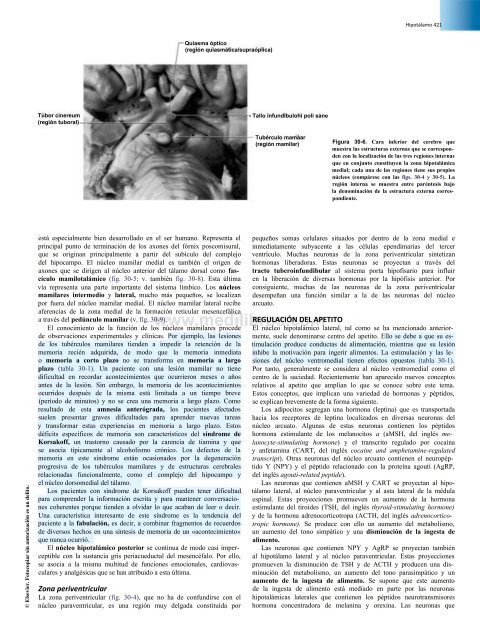 Principios de Neurociencia Haines 4a Ed_booksmedicos.org