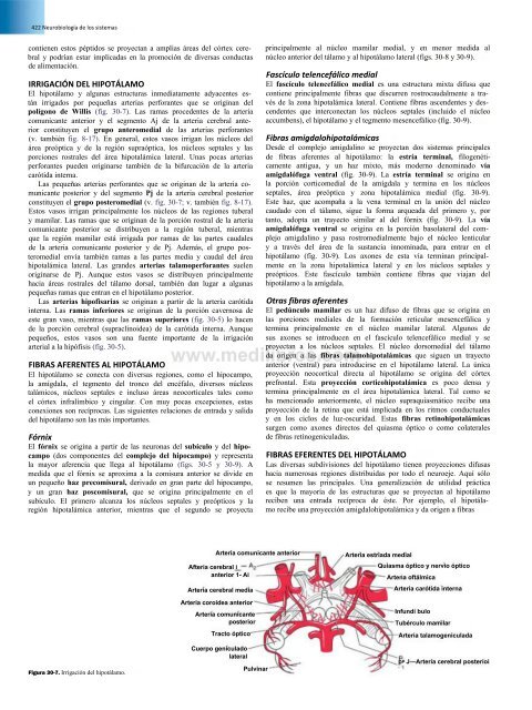 Principios de Neurociencia Haines 4a Ed_booksmedicos.org