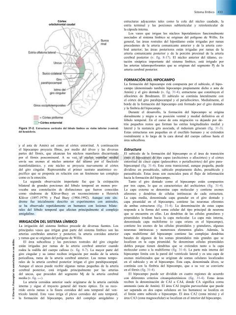 Principios de Neurociencia Haines 4a Ed_booksmedicos.org