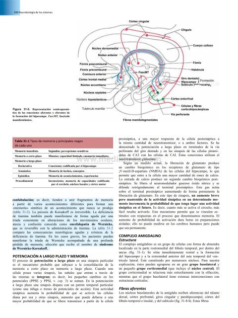 Principios de Neurociencia Haines 4a Ed_booksmedicos.org