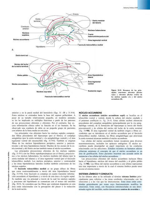 Principios de Neurociencia Haines 4a Ed_booksmedicos.org