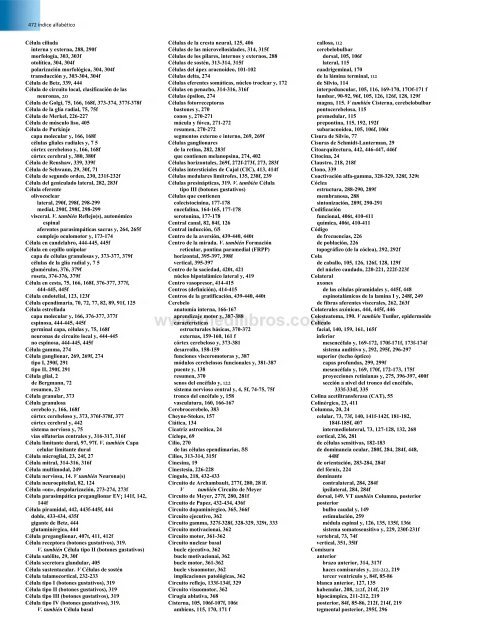 Principios de Neurociencia Haines 4a Ed_booksmedicos.org